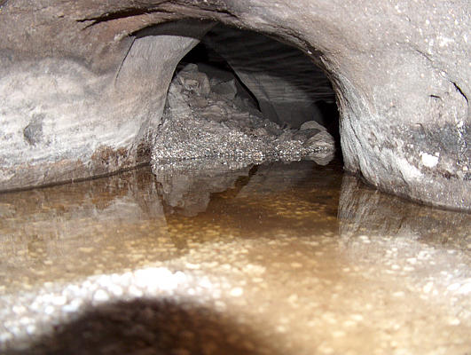 Greg's Downstream1.[SMoser]